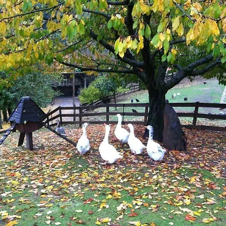 Vasilikia Mountain Farm & Retreat